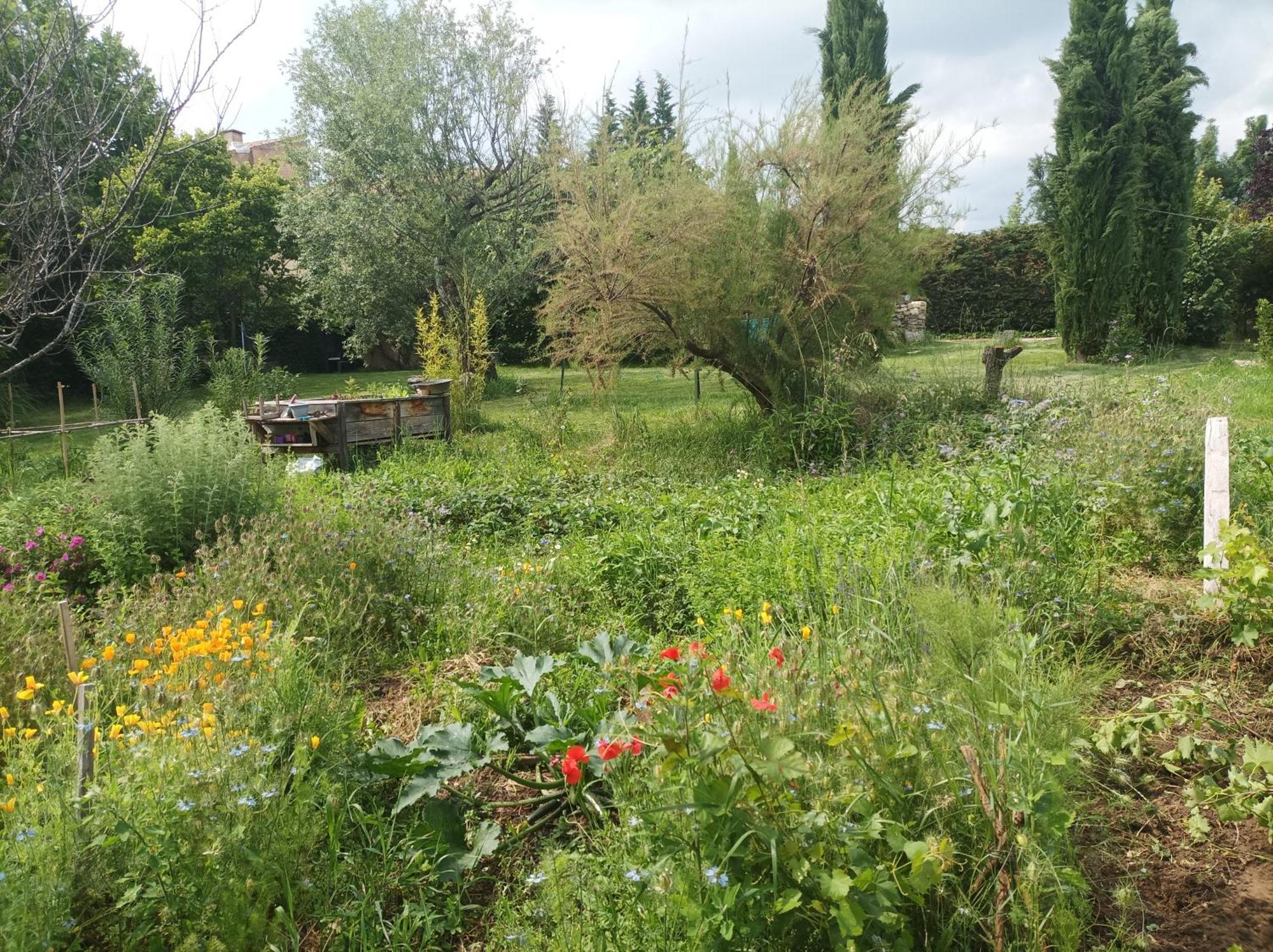 Bed and Breakfast Campagne de Pré Grand Saint-Étienne-les-Orgues Exterior foto
